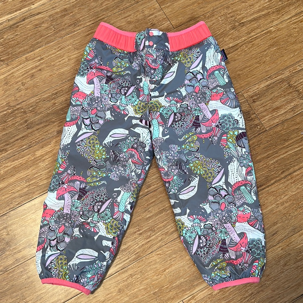 Toddler snow pants